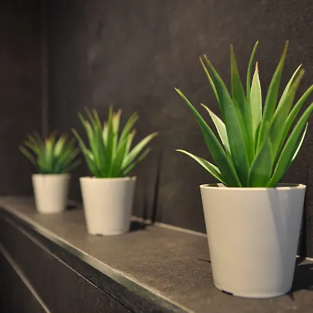 Bed & Breakfast Deer House Coppito