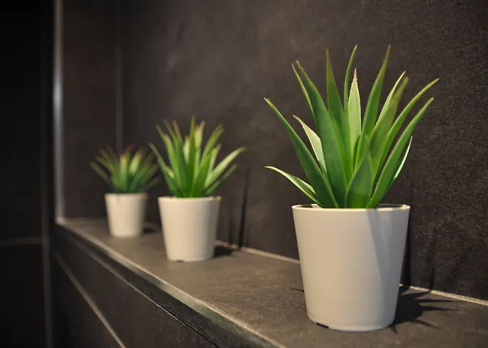 ベッド・アンド・ブレックファスト Deer House コッピート